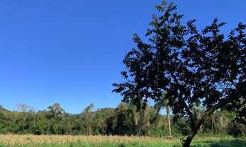 Imagem 6: Sítio Lush valley