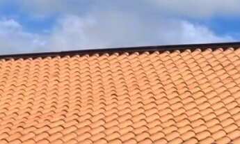 Imagem 2: Chácara de 6460m², encostada à Reserva Florestal do Morro Grande, Cotia