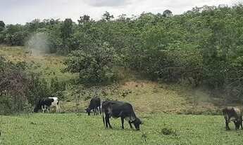 Imagem: Linda Fazenda Alexânia 41 hectares