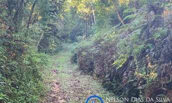 Imagem 7: Ótima oportunidade....03 (tres) áreas com 20.000m² em São Lourenço da Serra