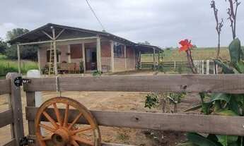 Imagem 5: Sítio 2 hectares em Águas claras, com açude e casa nova, 2 km do asfalto!