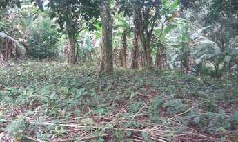 Imagem 6: Sítio com 50.000 m² e Cachoeira no Rio da Prata