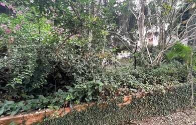 Imagem 3: Terreno 100% plano e ótima localização