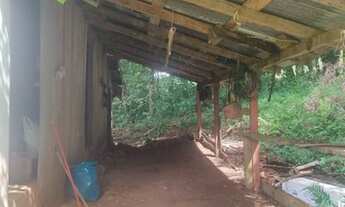 Imagem 2: São Francisco de Paula - Sítio - Samambaia