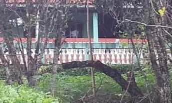 Imagem 5: Chácara para venda possui 250 metros quadrados com 3 quartos