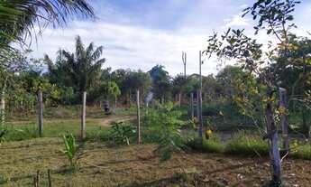 Imagem 2: Troco ou vendo lindo sitio