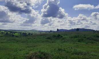 Imagem 6: Fazenda 42 alqueiro