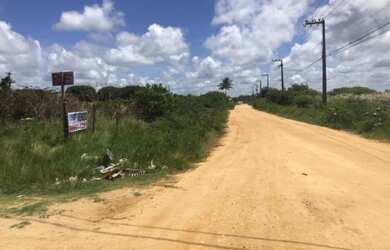 Imagem 3: Lote/Terreno para venda no Loteamento Praia dos Coqueiros - Frente Leste