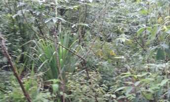 Imagem 4: Sitio 3.7 Hectares//Ótimo Acesso /Rio PERENE///Saída Pirapora!!