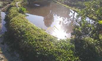 Imagem 7: Sítio com casa 4 dormitórios à venda em Anitápolis SC