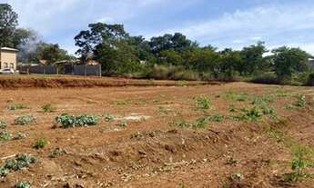 Imagem 7: Terreno caminho de cora