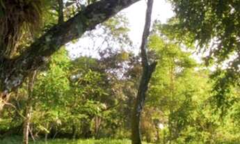 Imagem 3: Sítio à venda com casa principal e casa do caseiro em Guaramiranga!