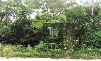 Imagem: Excelente Terreno, Plano, Com 11.075 M²