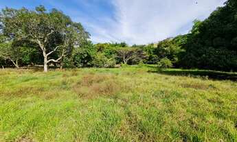 Imagem 2: Chácara em Goianesia
