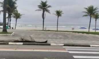 Imagem 6: Aluguel mensal guaruja enseada