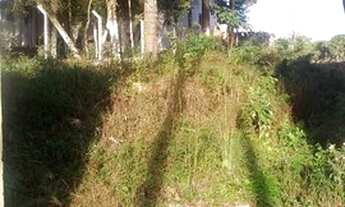 Imagem 6: Terreno com um Barracão em São José dos Pinhais