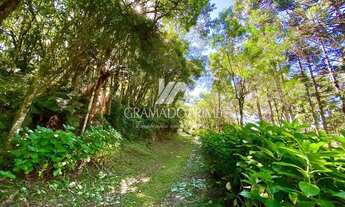 Imagem 3: OPORTUNIDADE SÍTIO COM CACHOEIRA EM CANELA!