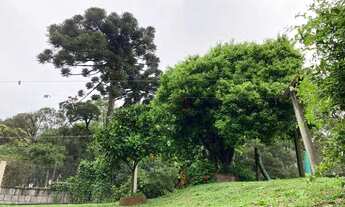 Imagem 7: Casa no Bairro Vila Maggi em Canela!