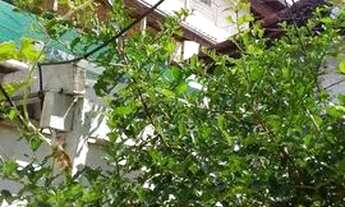 Imagem 2: Casa 2 dorms, Caicara, R$ 350 mil