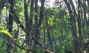 Imagem: Terreno no bairro São Bernardo em São