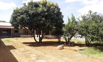 Imagem: Alugo Casa com 3 Quartos (1 suíte com banheira)