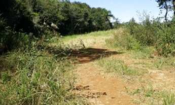 Imagem 4: Área na Colonia Campina em Campo Largo