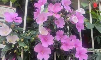 Imagem 4: Aluguel de quartos Homens modalidade individual