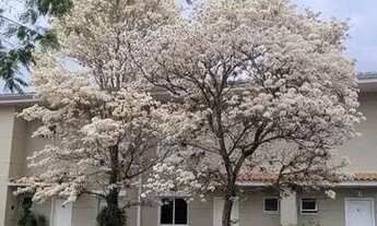 Imagem 6: Casa de condomínio para venda possui 100 metros quadrados com 3 quartos em São João - Jaca