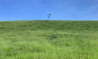 Imagem 3: Terreno a partir de 35 mil 500 metros