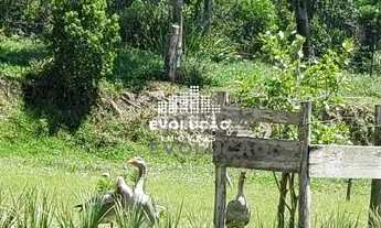 Imagem 6: Excelente Sítio com Estrutura Completa Tijucas