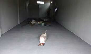 Imagem 5: Aluga-se galpão e uma casa