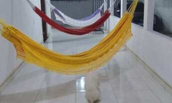 Imagem 4: Alugo Casa Para Temporada em Lucena/PB