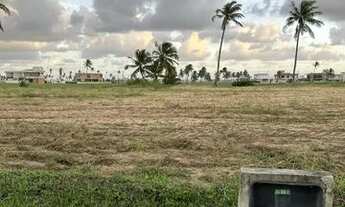 Imagem 2: Dahma Residence oportunidade