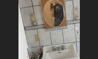 Imagem 6: Casa 2 quartos em piraquara