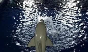 Imagem 5: ALUGUEL CASA PRAIA DOSSEGO