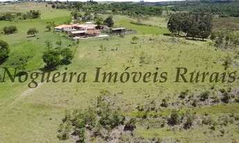 Imagem 12: Fazenda em Itapetininga, rica em água (Nogueira Imóveis Rurais