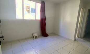 Imagem: Paradiso Anturio