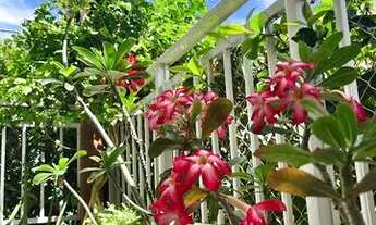 Imagem 6: Brisa Vida Bela Apartamento com 3 dormitórios