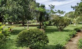 Imagem 7: Sítio escriturado 8 hectares a 70 km de Brasília 5 km de estrada de chão