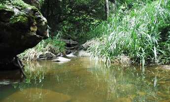 Imagem 2: Oportunidade Casa A 6Km Do Pacoti As Margens Da Ce,6 Hectares Valor R$500.000,00 Todo Docu