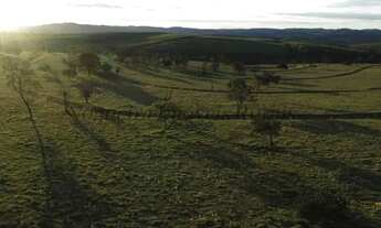 Imagem 3: Fazenda com 100 alqueires em Itatinga - SP (Nogueira Imóveis Rurais