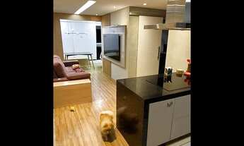 Imagem 2: Apartamento com 3 dormitórios, 1 suíte, 68 m², 1 vaga na Vila Rosália - Guarulhos - SP