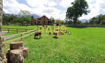 Imagem 6: Chácara Encantadora No Vila Nova