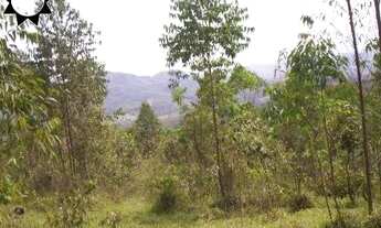 Imagem 2: ÁREA SANTANA DE PARNAÍBA