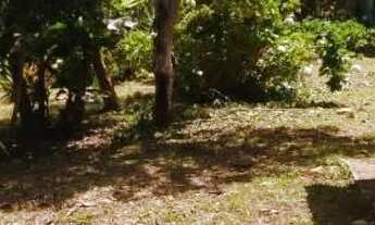 Imagem 5: Chacara paraiso apenas 147 mil reais