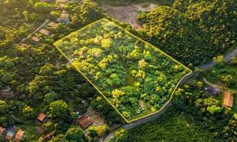 Imagem 2: Terreno do Timbuba Paço do Lumiar 17mil m²