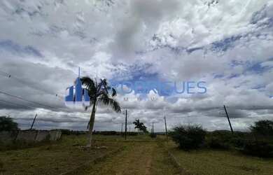 Imagem 3: Terreno à Venda em Feira de Santana Humildes: Oportunidade Imperdível com 385.045m² de Áre