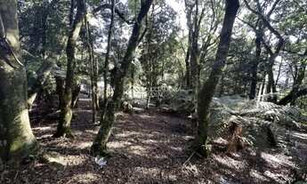 Imagem 2: Terreno à venda em Gramado Condomínio Lagos de Gramado