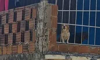 Imagem: Duplex a venda