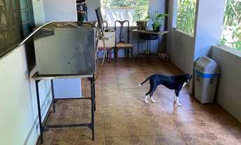 Imagem 4: Vendo Chácara urbana próximo do Buriti Shopping